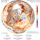 Sea surface temperature anomalies on October 25th, 2016. Image: NSDIC